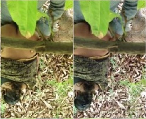 Aunty Quick Outdoor Doggy Style Fucking With Younge Lover