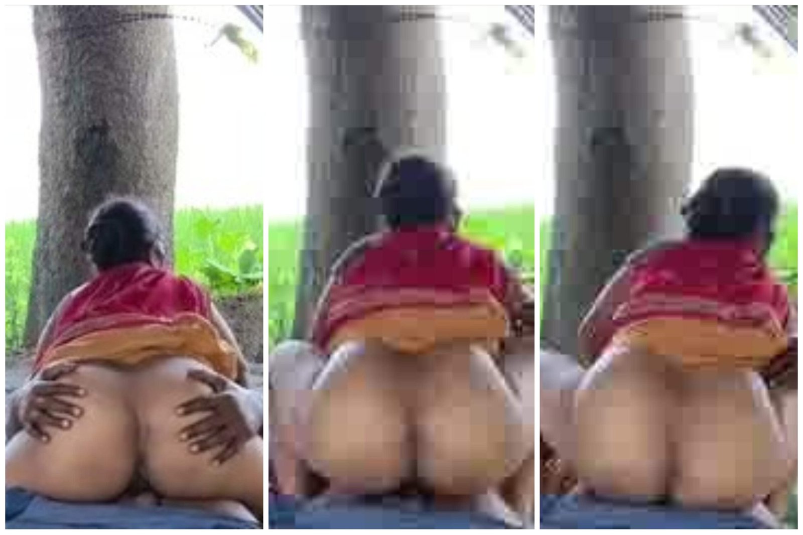 Sexy Ass Village Bhabhi Ridding Devar Dick In Field Secretly